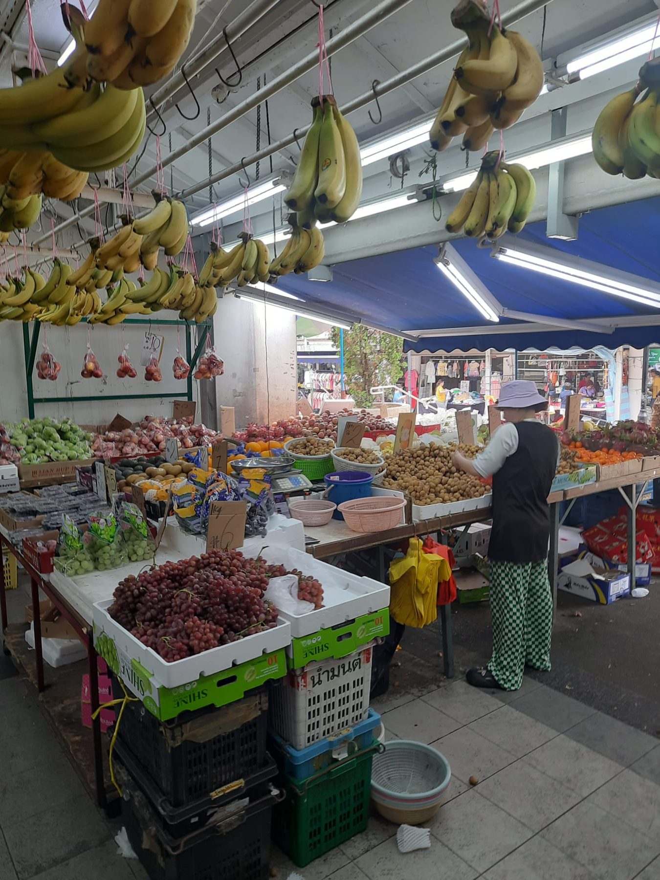 Fruit and produce displays along the neighbourhood market aisle